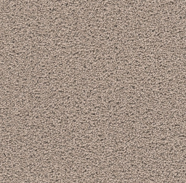 Blockbuster Plus Carpet Roll – AED 69 per m²