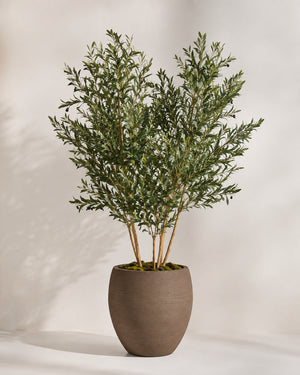 Designer Touch Olive Tree with Brown Textured Planter