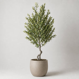 Designer Touch Olive Tree with Natural Stone Planter