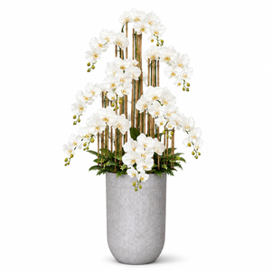 Designer Touch Grand Cascading Phalaenopsis Orchid Arrangement