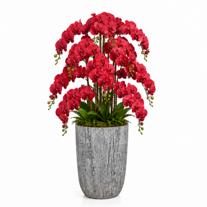 Designer Touch Grand Red Phalaenopsis Orchid Arrangement with Silver Textured Planter