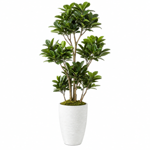 Designer Touch Ficus Tree with Textured Planter