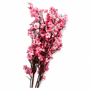 Cherry Blossom Branch Bundle