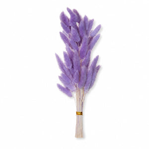 Velvet Bunny Tail Grass Bundle