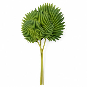 Sculptural Fan Palm Leaf Bundle