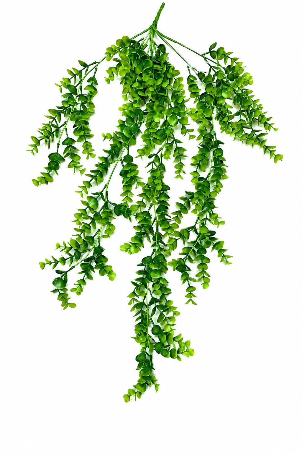 Artificial Hanging Peperomia Vine Bush