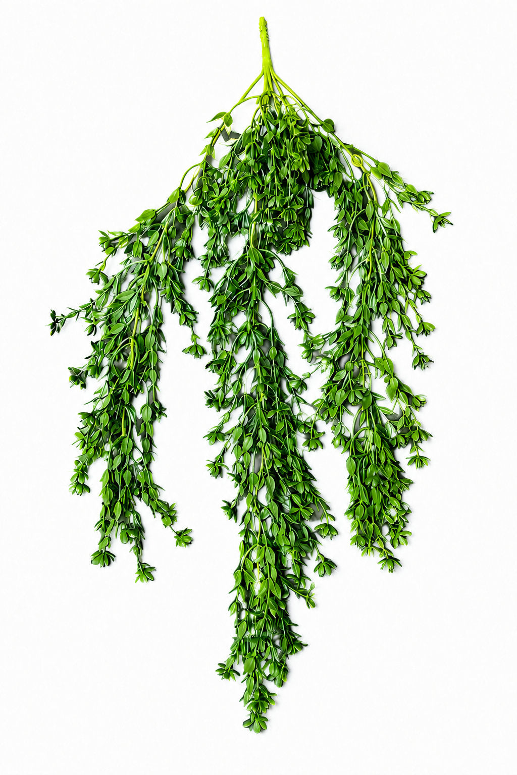 Artificial Hanging Boxwood Vine Bush