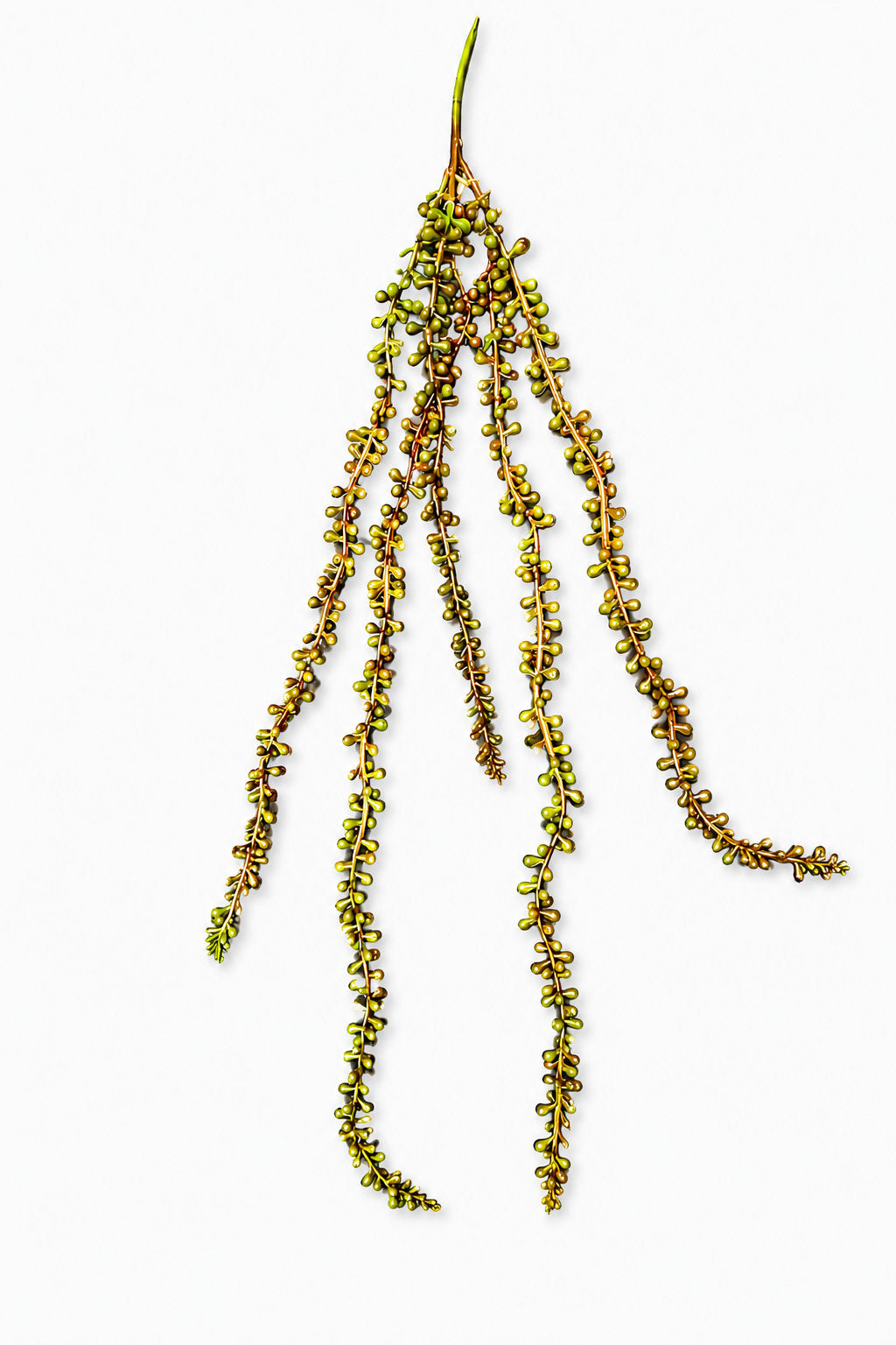 Artificial Hanging String of Beads Vine Spray