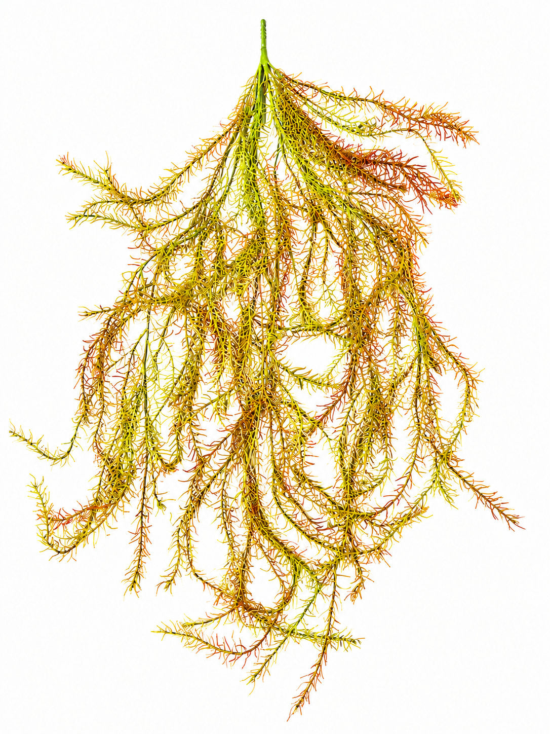 Artificial Hanging Asparagus Fern Vine Bush