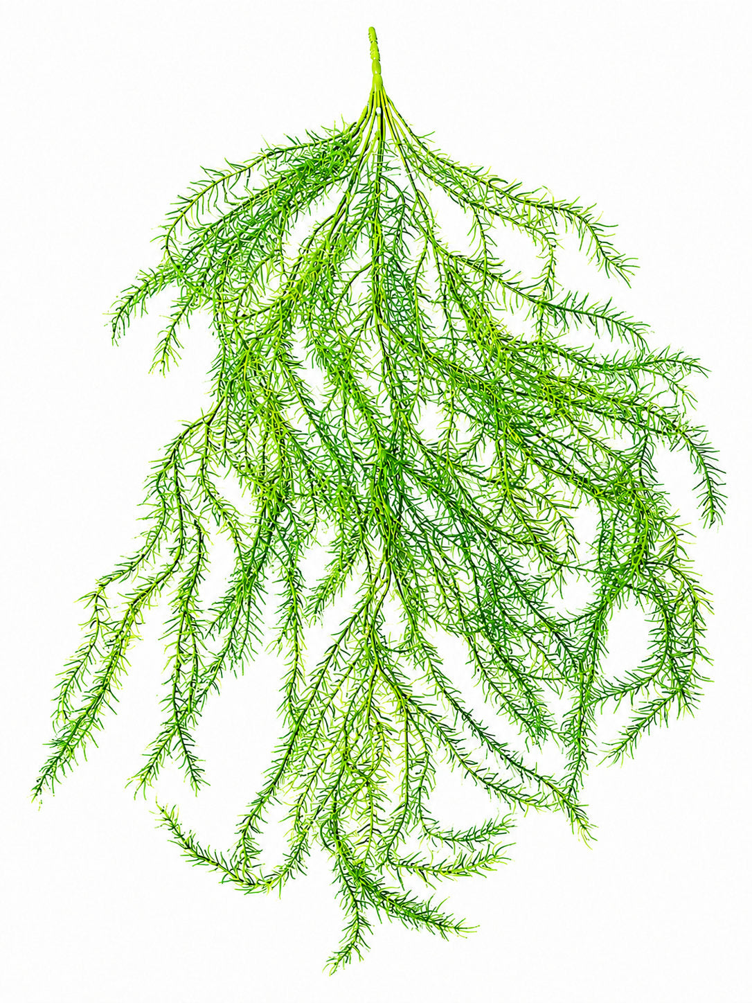 Artificial Hanging Asparagus Fern Vine Bush