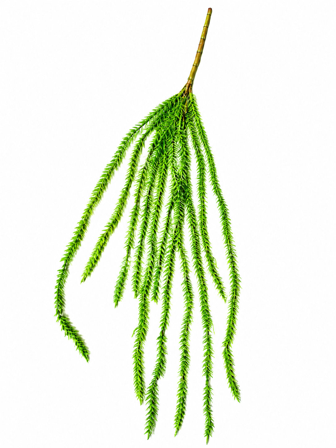 Artificial Hanging Fine Needle Leaf Vine Spray