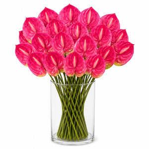 Anthurium Sculptural Floral Arrangement