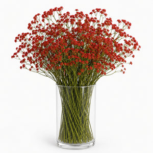 Gypsophila Cloud Floral Arrangement