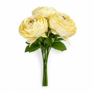 Grand Ranunculus Bouquet