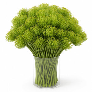 Pincushion Protea Cloud Arrangement