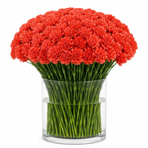 Grand Carnation Dome Arrangement