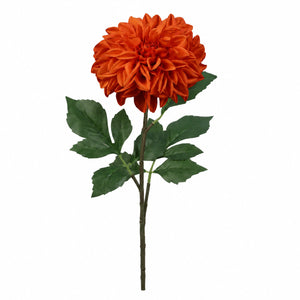 Grand Dahlia Bloom Stem