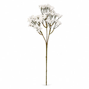 Delicate Gypsophila Blossom Spray