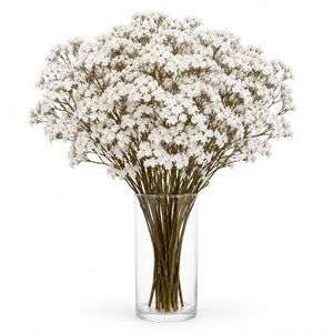 Gypsophila Cloud Arrangement