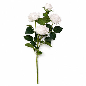 Garden Rose Blossom Spray