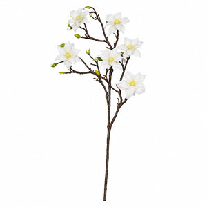 Magnolia Blossom Branch