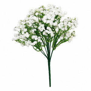 Cloud Gypsophila Flower Bush