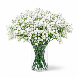 Gypsophila Cloud Arrangement