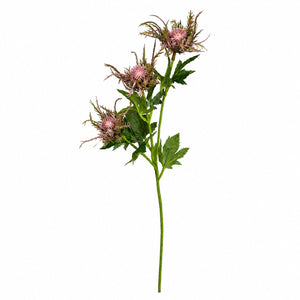 Sculptural Thistle Blossom Spray