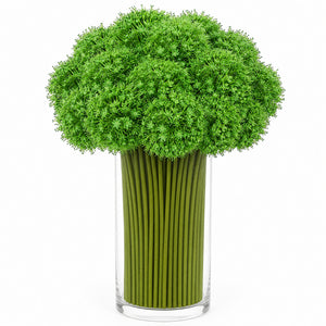 Allium Globe Arrangement