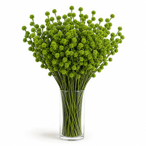 Brunia Button Arrangement