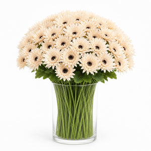 Spider Chrysanthemum Arrangement