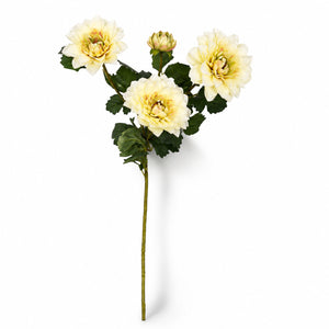 Garden Dahlia Flower Spray