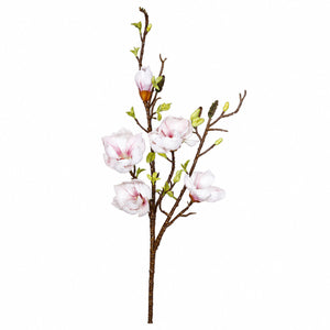 Magnolia Blossom Branch