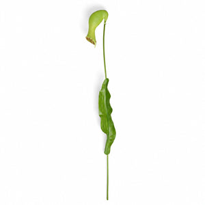 Sculptural Calla Lily Stem