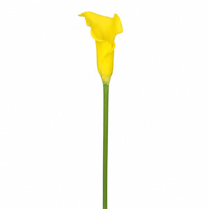 Classic Calla Lily Stem