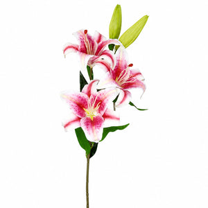 Oriental Lily Flower Spray