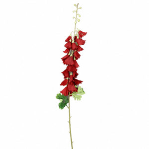 Cascading Bellflower Stem