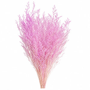 Dried Limonium Mist Bundle