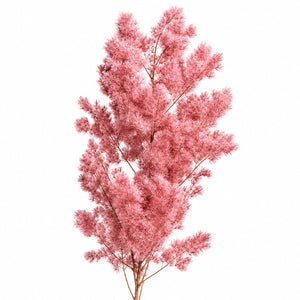 Feather Fern Botanical Spray