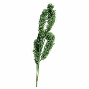 Cypress Loop Botanical Spray