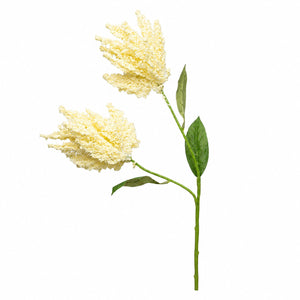 Sorghum Grain Plume Stem