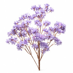 Woodland Daisy Blossom Branch