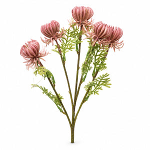 Spider Mum Botanical Spray