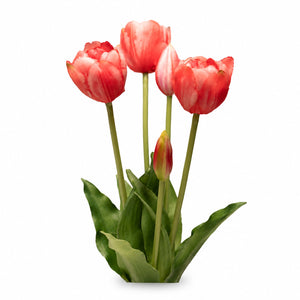 Elegant Tulip Bouquet