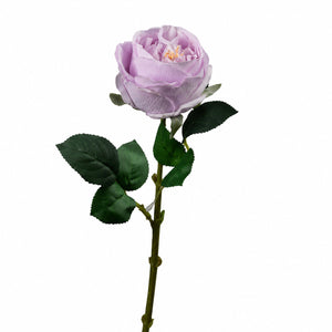 Heritage Garden Rose Stem