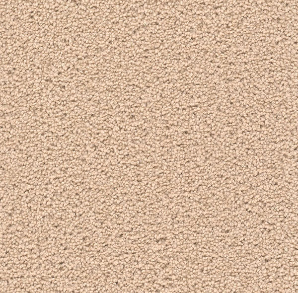 Blockbuster Plus Carpet Roll – AED 69 per m²