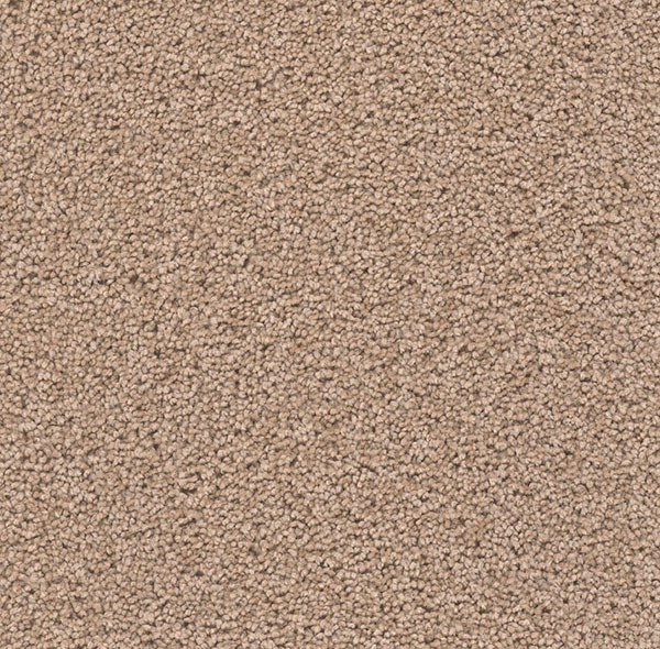 Blockbuster Plus Carpet Roll – AED 69 per m²