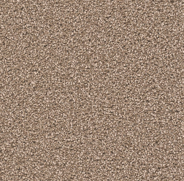 Blockbuster Plus Carpet Roll – AED 69 per m²