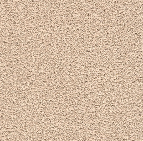 Blockbuster Plus Carpet Roll – AED 69 per m²
