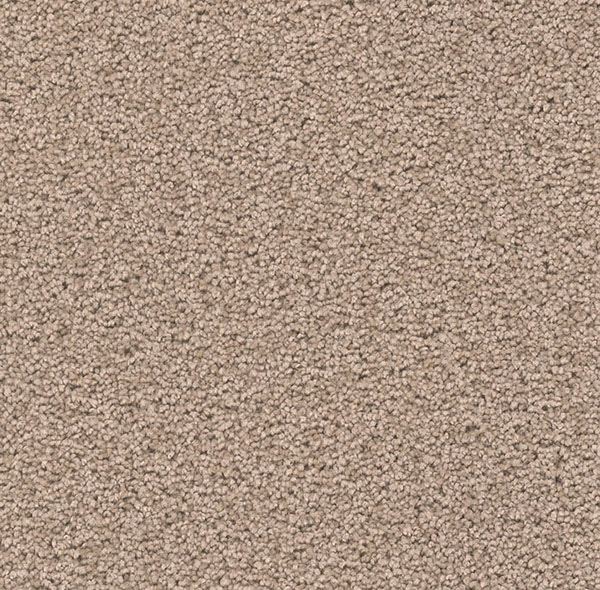 Blockbuster Plus Carpet Roll – AED 69 per m²